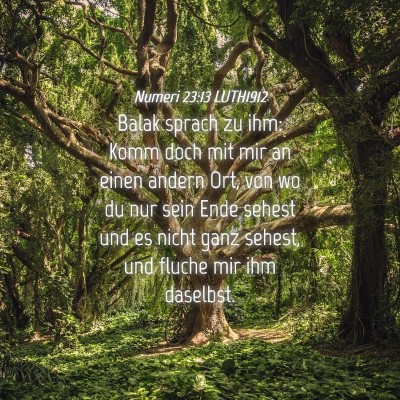 Picture 04 - Numeri 23:13 LUTH1912 - Balak sprach zu ihm: Komm doch mit mir an einen - Bible Verse Picture