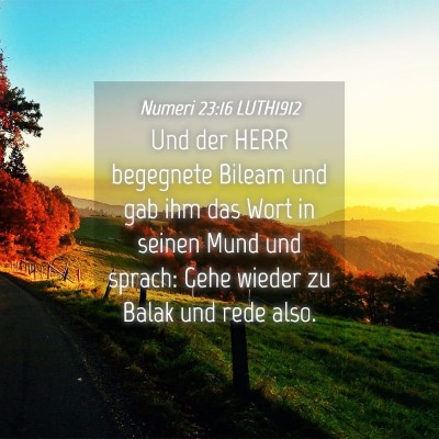 Picture 04 - Numeri 23:16 LUTH1912 - Und der HERR begegnete Bileam und gab ihm das - Bible Verse Picture