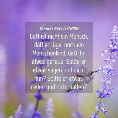 Picture 04 - Numeri 23:19 LUTH1912 - Gott ist nicht ein Mensch, daß er lüge, noch - Bible Verse Picture