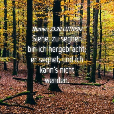 Picture 04 - Numeri 23:20 LUTH1912 - Siehe, zu segnen bin ich hergebracht; er segnet, - Bible Verse Picture