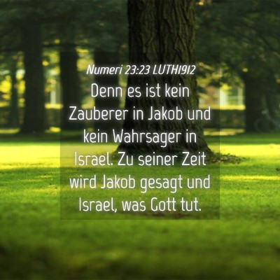 Picture 04 - Numeri 23:23 LUTH1912 - Denn es ist kein Zauberer in Jakob und kein - Bible Verse Picture