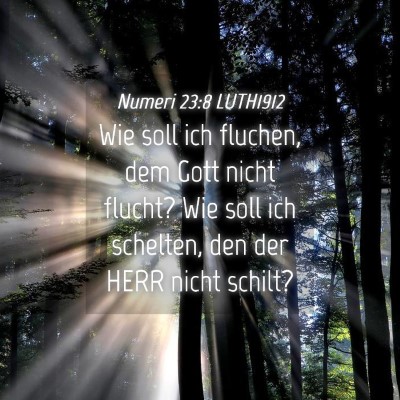 Picture 04 - Numeri 23:8 LUTH1912 - Wie soll ich fluchen, dem Gott nicht flucht? Wie - Bible Verse Picture