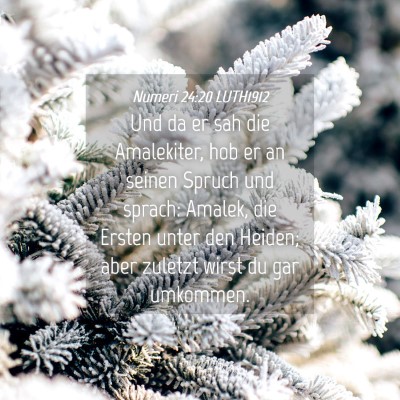 Picture 04 - Numeri 24:20 LUTH1912 - Und da er sah die Amalekiter, hob er an seinen - Bible Verse Picture