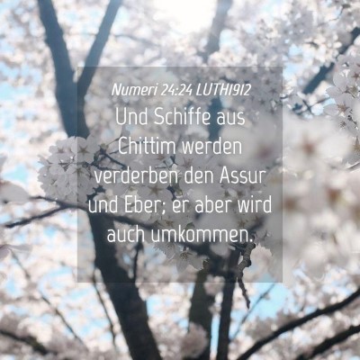 Picture 04 - Numeri 24:24 LUTH1912 - Und Schiffe aus Chittim werden verderben den - Bible Verse Picture