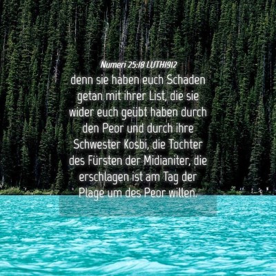 Picture 04 - Numeri 25:18 LUTH1912 - denn sie haben euch Schaden getan mit ihrer List, - Bible Verse Picture
