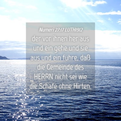 Picture 04 - Numeri 27:17 LUTH1912 - der vor ihnen her aus und ein gehe und sie aus - Bible Verse Picture