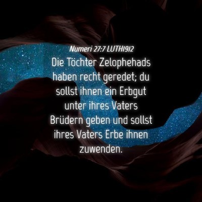 Picture 04 - Numeri 27:7 LUTH1912 - Die Töchter Zelophehads haben recht geredet; du - Bible Verse Picture