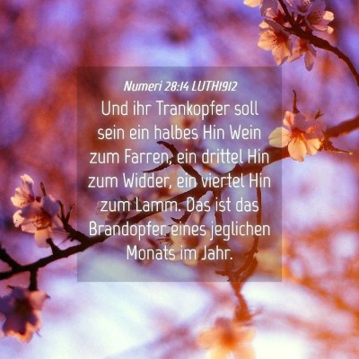 Picture 04 - Numeri 28:14 LUTH1912 - Und ihr Trankopfer soll sein ein halbes Hin Wein - Bible Verse Picture