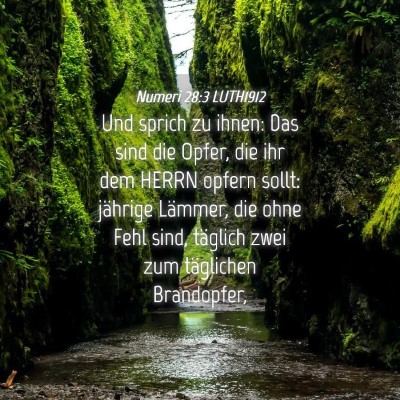 Picture 04 - Numeri 28:3 LUTH1912 - Und sprich zu ihnen: Das sind die Opfer, die ihr - Bible Verse Picture