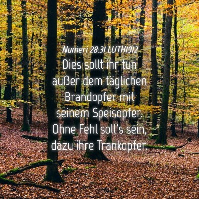 Picture 04 - Numeri 28:31 LUTH1912 - Dies sollt ihr tun außer dem täglichen - Bible Verse Picture