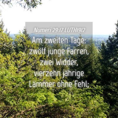 Picture 04 - Numeri 29:17 LUTH1912 - Am zweiten Tage: zwölf junge Farren, zwei - Bible Verse Picture