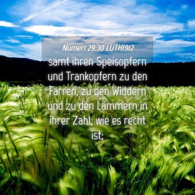 Picture 04 - Numeri 29:30 LUTH1912 - samt ihren Speisopfern und Trankopfern zu den - Bible Verse Picture