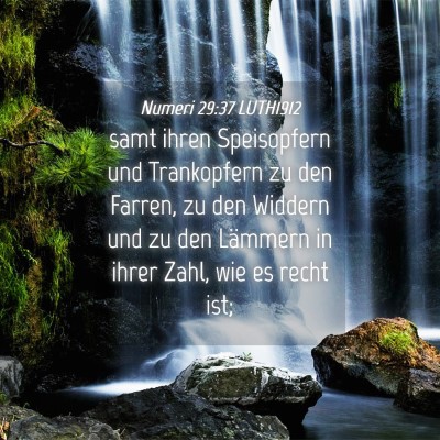 Picture 04 - Numeri 29:37 LUTH1912 - samt ihren Speisopfern und Trankopfern zu den - Bible Verse Picture