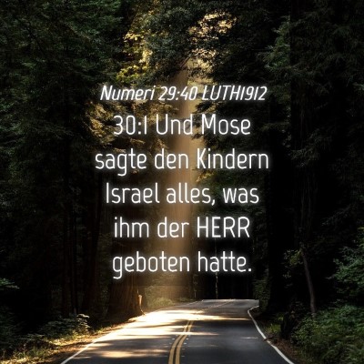 Picture 04 - Numeri 29:40 LUTH1912 - 30:1 Und Mose sagte den Kindern Israel alles, was - Bible Verse Picture