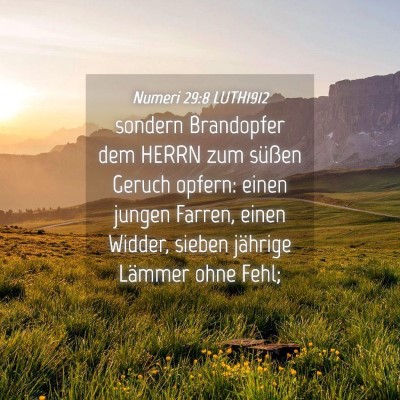 Picture 04 - Numeri 29:8 LUTH1912 - sondern Brandopfer dem HERRN zum süßen Geruch - Bible Verse Picture