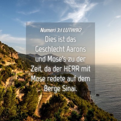 Picture 04 - Numeri 3:1 LUTH1912 - Dies ist das Geschlecht Aarons und Mose's zu der - Bible Verse Picture