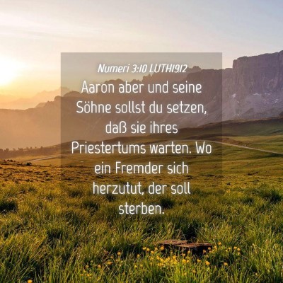 Picture 04 - Numeri 3:10 LUTH1912 - Aaron aber und seine Söhne sollst du setzen, - Bible Verse Picture
