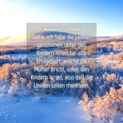 Picture 04 - Numeri 3:12 LUTH1912 - Siehe, ich habe die Leviten genommen unter den - Bible Verse Picture