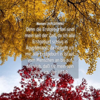 Picture 04 - Numeri 3:13 LUTH1912 - Denn die Erstgeburten sind mein seit der Zeit, da - Bible Verse Picture