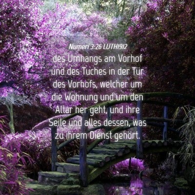 Picture 04 - Numeri 3:26 LUTH1912 - des Umhangs am Vorhof und des Tuches in der Tür - Bible Verse Picture