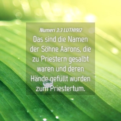 Picture 04 - Numeri 3:3 LUTH1912 - Das sind die Namen der Söhne Aarons, die zu - Bible Verse Picture