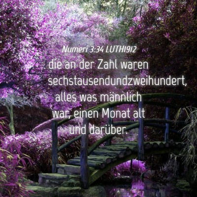 Picture 04 - Numeri 3:34 LUTH1912 - die an der Zahl waren sechstausendundzweihundert, - Bible Verse Picture