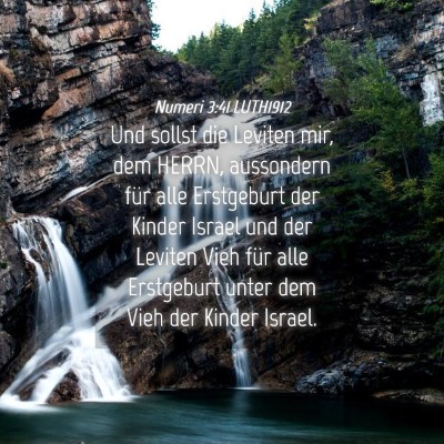 Picture 04 - Numeri 3:41 LUTH1912 - Und sollst die Leviten mir, dem HERRN, aussondern - Bible Verse Picture