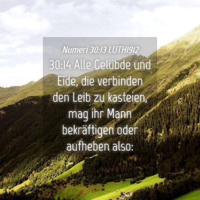 Picture 04 - Numeri 30:13 LUTH1912 - 30:14 Alle Gelübde und Eide, die verbinden den - Bible Verse Picture