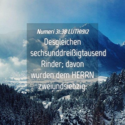Picture 04 - Numeri 31:38 LUTH1912 - Desgleichen sechsunddreißigtausend Rinder; davon - Bible Verse Picture
