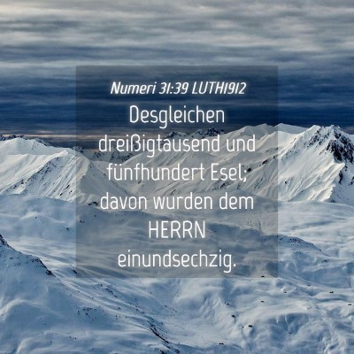 Picture 04 - Numeri 31:39 LUTH1912 - Desgleichen dreißigtausend und fünfhundert - Bible Verse Picture