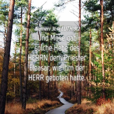 Picture 04 - Numeri 31:41 LUTH1912 - Und Mose gab solche Hebe des HERRN dem Priester - Bible Verse Picture