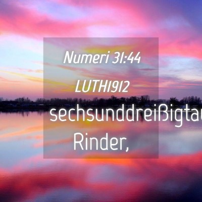 Picture 04 - Numeri 31:44 LUTH1912 - sechsunddreißigtausend - Bible Verse Picture