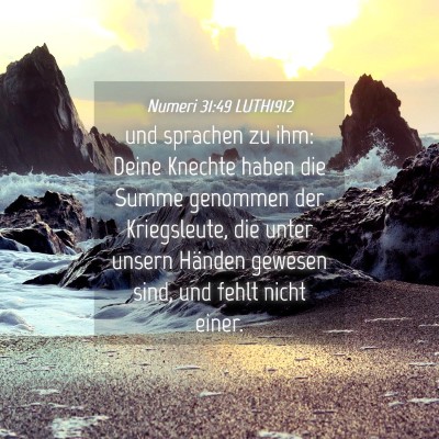 Picture 04 - Numeri 31:49 LUTH1912 - und sprachen zu ihm: Deine Knechte haben die - Bible Verse Picture