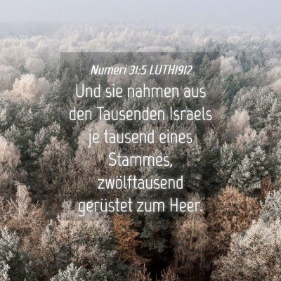 Picture 04 - Numeri 31:5 LUTH1912 - Und sie nahmen aus den Tausenden Israels je - Bible Verse Picture