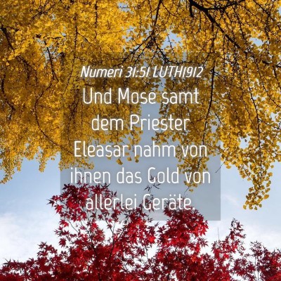 Picture 04 - Numeri 31:51 LUTH1912 - Und Mose samt dem Priester Eleasar nahm von ihnen - Bible Verse Picture