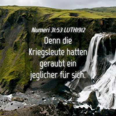 Picture 04 - Numeri 31:53 LUTH1912 - Denn die Kriegsleute hatten geraubt ein jeglicher - Bible Verse Picture