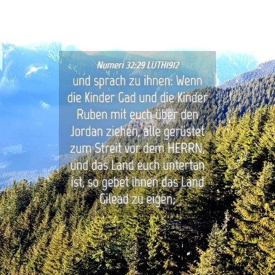 Picture 04 - Numeri 32:29 LUTH1912 - und sprach zu ihnen: Wenn die Kinder Gad und die - Bible Verse Picture