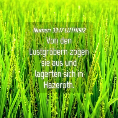 Picture 04 - Numeri 33:17 LUTH1912 - Von den Lustgräbern zogen sie aus und lagerten - Bible Verse Picture
