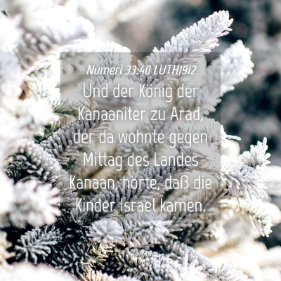 Picture 04 - Numeri 33:40 LUTH1912 - Und der König der Kanaaniter zu Arad, der da - Bible Verse Picture