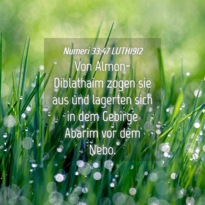 Picture 04 - Numeri 33:47 LUTH1912 - Von Almon-Diblathaim zogen sie aus und lagerten - Bible Verse Picture