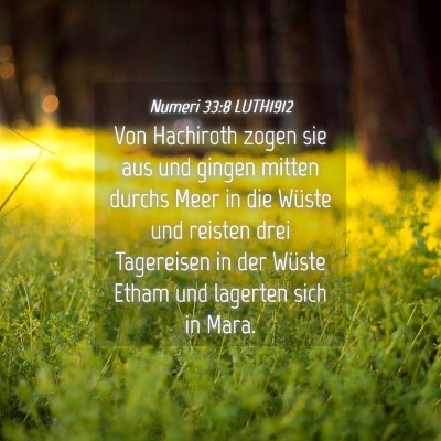 Picture 04 - Numeri 33:8 LUTH1912 - Von Hachiroth zogen sie aus und gingen mitten - Bible Verse Picture