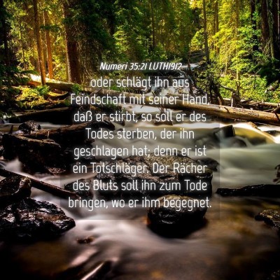 Picture 04 - Numeri 35:21 LUTH1912 - oder schlägt ihn aus Feindschaft mit seiner - Bible Verse Picture