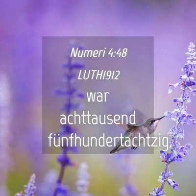 Picture 04 - Numeri 4:48 LUTH1912 - war achttausend - Bible Verse Picture
