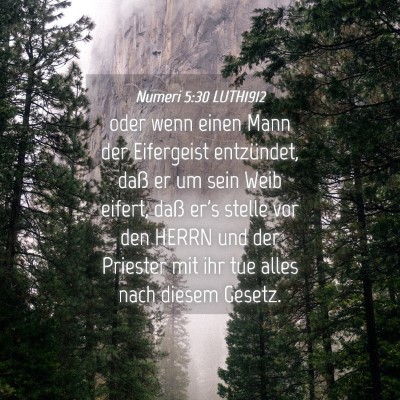 Picture 04 - Numeri 5:30 LUTH1912 - oder wenn einen Mann der Eifergeist entzündet, - Bible Verse Picture