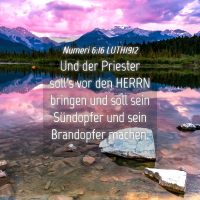 Picture 04 - Numeri 6:16 LUTH1912 - Und der Priester soll's vor den HERRN bringen und - Bible Verse Picture