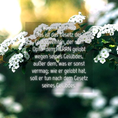 Picture 04 - Numeri 6:21 LUTH1912 - Das ist das Gesetz des Gottgeweihten, der sein - Bible Verse Picture