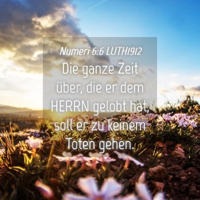 Picture 04 - Numeri 6:6 LUTH1912 - Die ganze Zeit über, die er dem HERRN gelobt - Bible Verse Picture