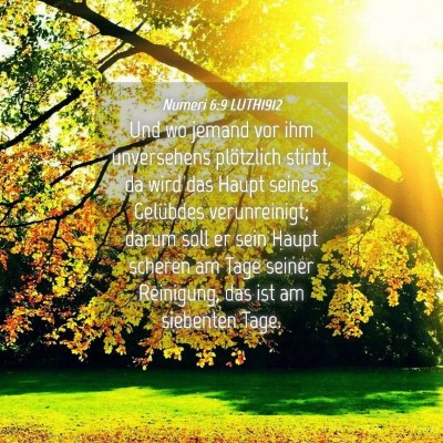 Picture 04 - Numeri 6:9 LUTH1912 - Und wo jemand vor ihm unversehens plötzlich - Bible Verse Picture