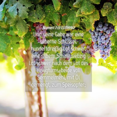 Picture 04 - Numeri 7:13 LUTH1912 - Und seine Gabe war eine silberne Schüssel, - Bible Verse Picture
