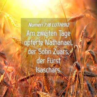 Picture 04 - Numeri 7:18 LUTH1912 - Am zweiten Tage opferte Nathanael, der Sohn - Bible Verse Picture